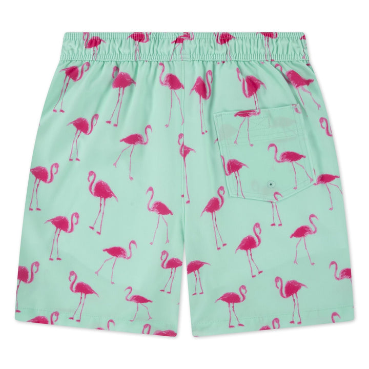 Abercrombie & Fitch Kids Core poly badeshorts – Beach Glass for barn - Brobrobrille
