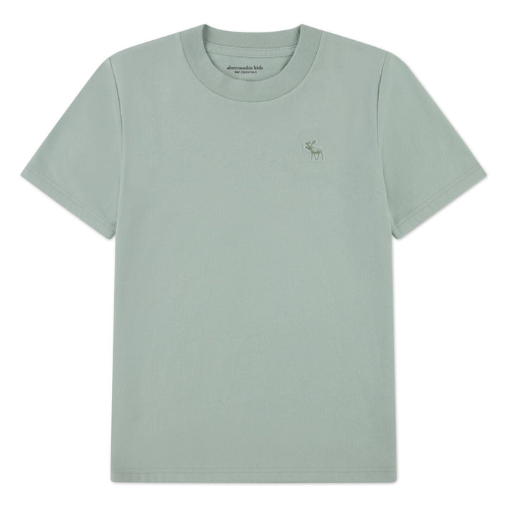 Abercrombie & Fitch Kids Essential T - skjorte – Chinois Green for barn - Brobrobrille