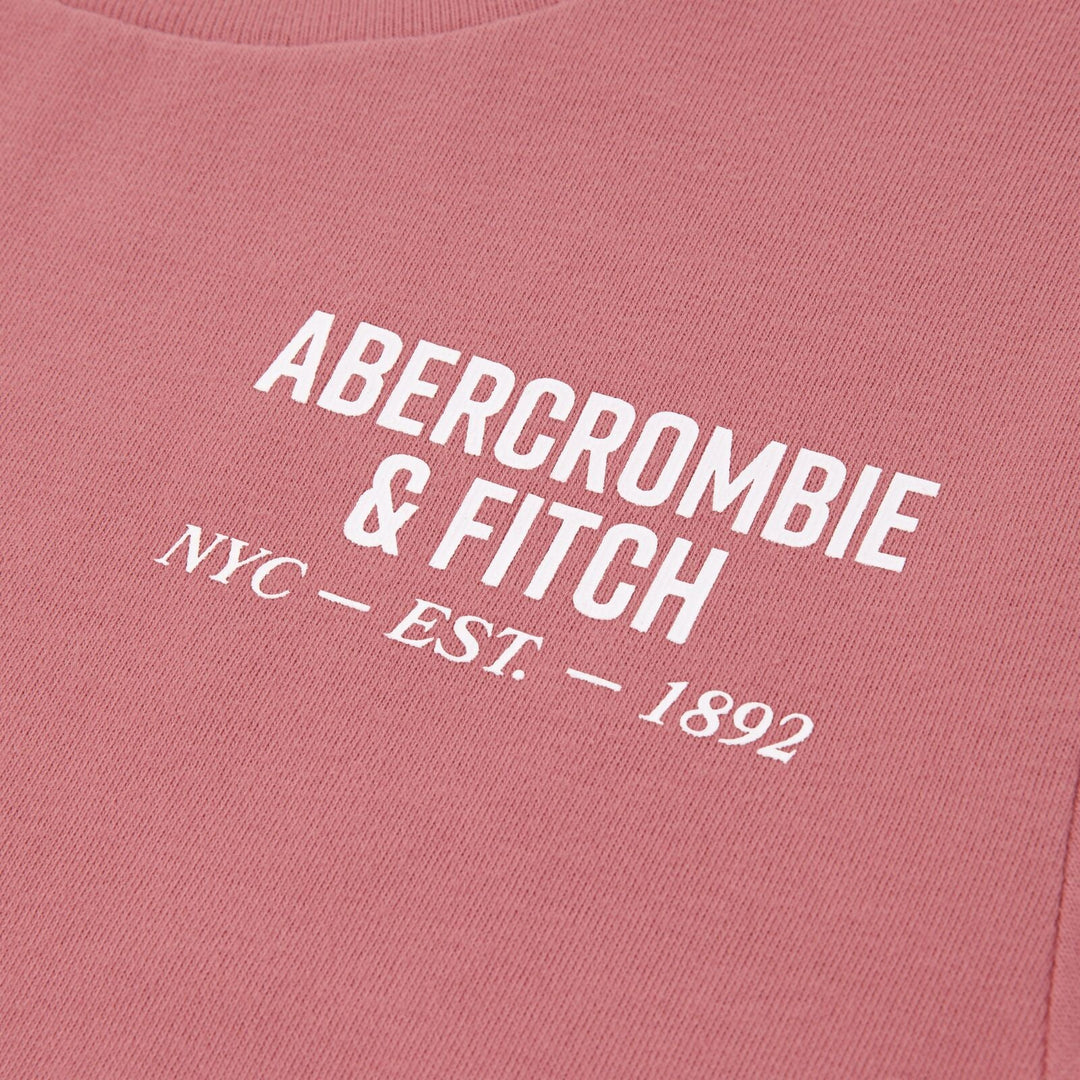 Abercrombie & Fitch Kids NYC EST 1892 Logo T - skjorte – Dusty Rose for barn - Brobrobrille