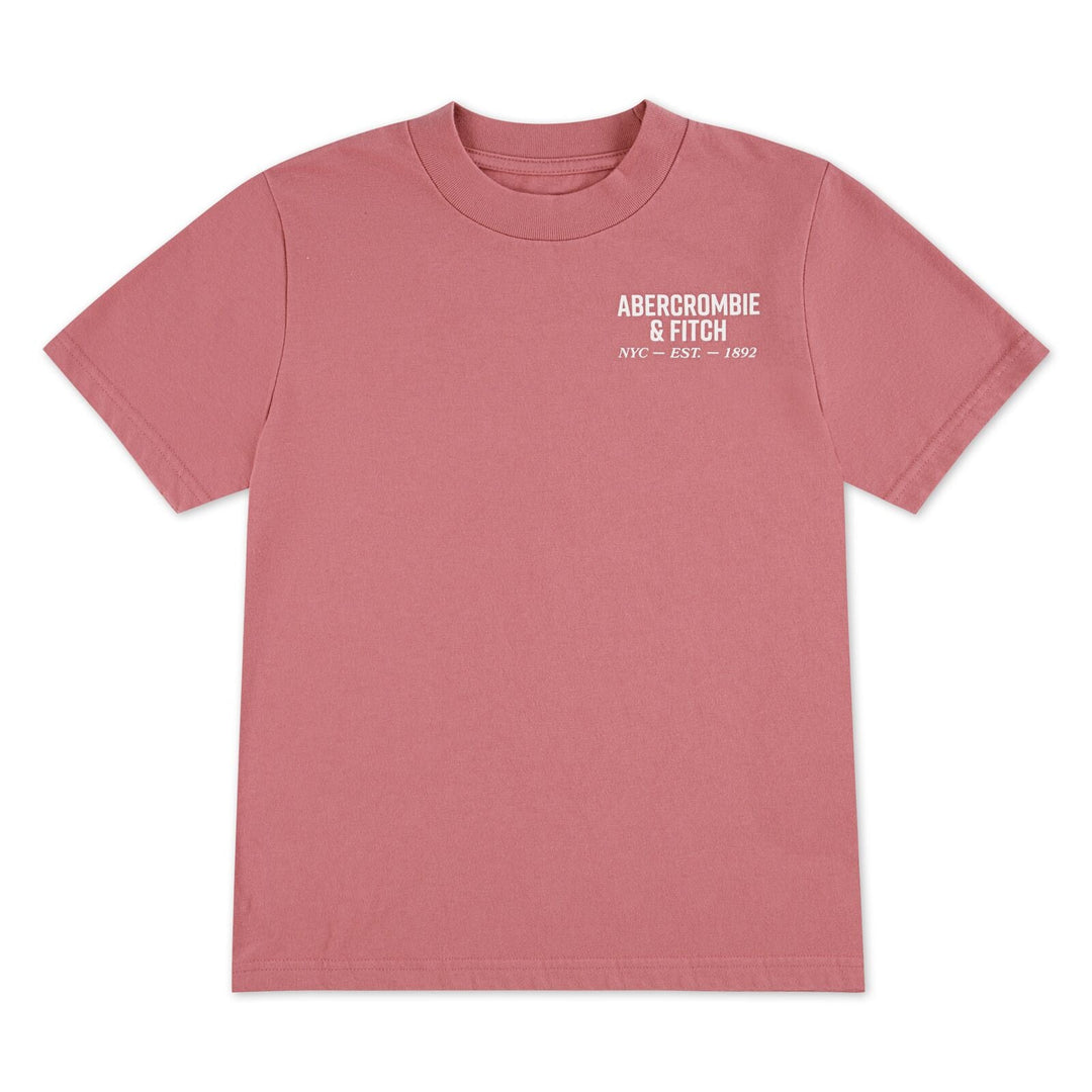 Abercrombie & Fitch Kids NYC EST 1892 Logo T - skjorte – Dusty Rose for barn - Brobrobrille