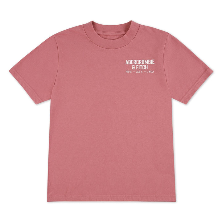 Abercrombie & Fitch Kids NYC EST 1892 Logo T - skjorte – Dusty Rose for barn - Brobrobrille