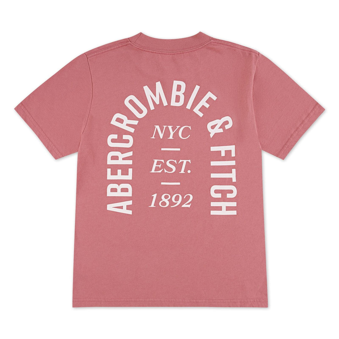 Abercrombie & Fitch Kids NYC EST 1892 Logo T - skjorte – Dusty Rose for barn - Brobrobrille