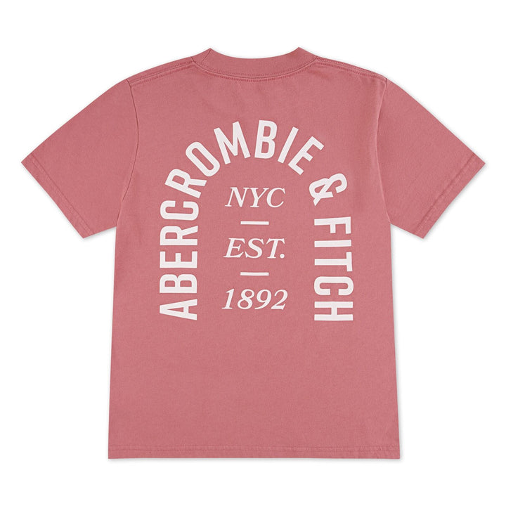 Abercrombie & Fitch Kids NYC EST 1892 Logo T - skjorte – Dusty Rose for barn - Brobrobrille