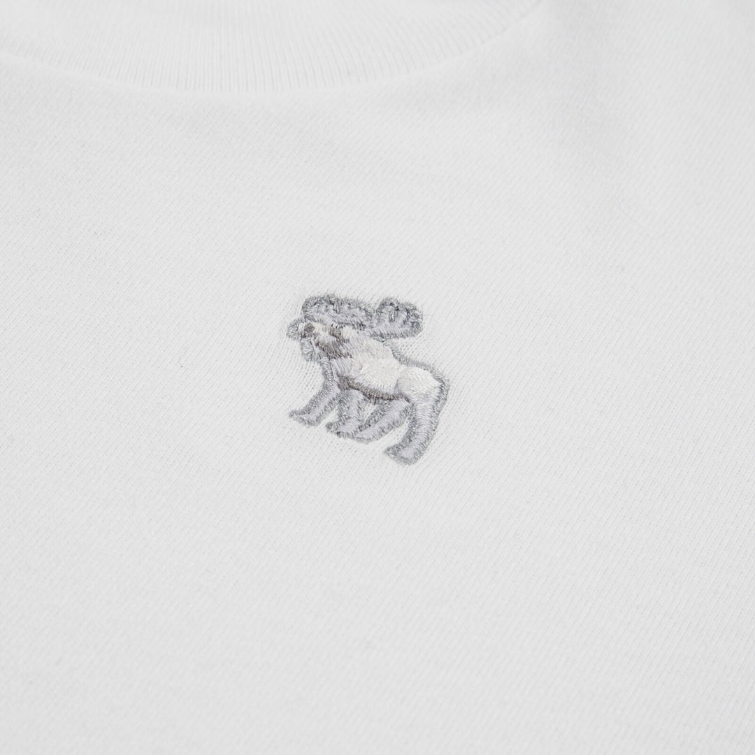 Abercrombie & Fitch Kids Short Sleeve Essential T - skjorte – Bright White for barn - Brobrobrille