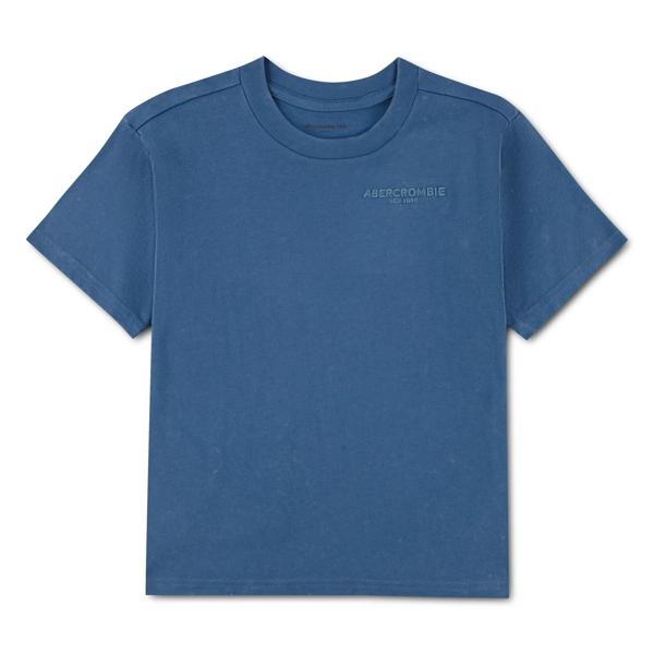 Abercrombie & Fitch Kids Sunfaded T - skjorte – Moonlight Blue for barn - Brobrobrille