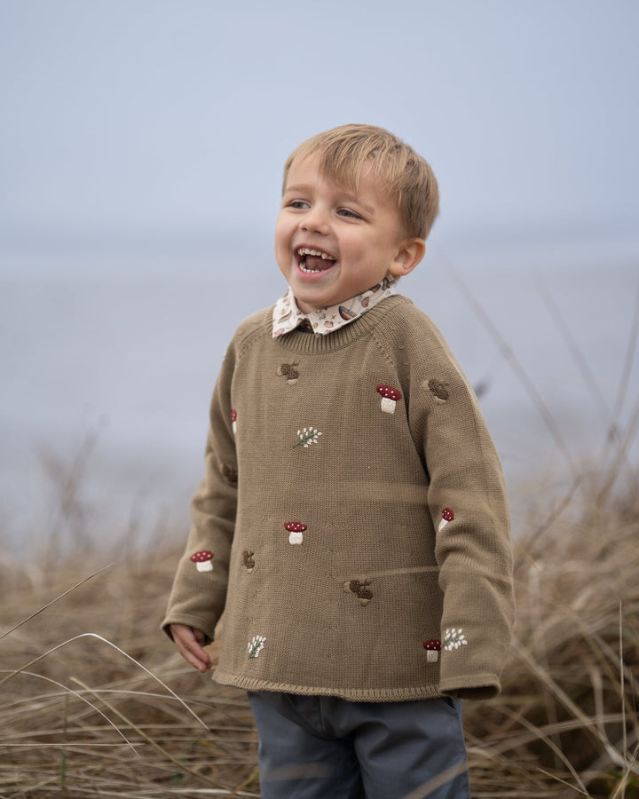 Hanevild Fall genser i økologisk bomull – Coriander for barn - Brobrobrille