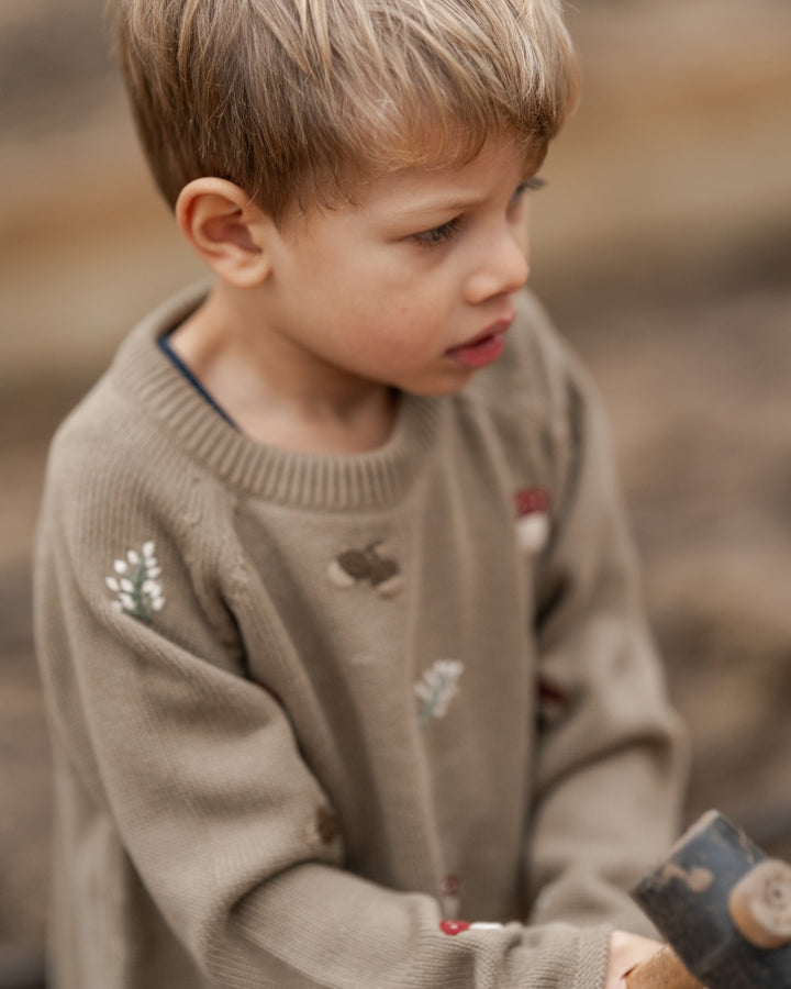 Hanevild Fall genser i økologisk bomull – Coriander for barn - Brobrobrille