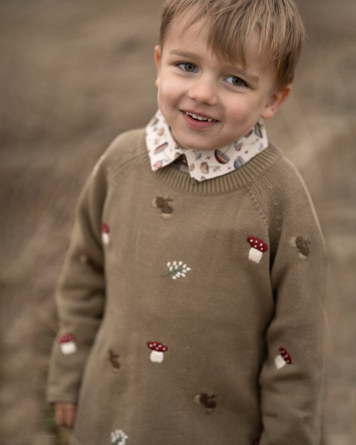 Hanevild Fall genser i økologisk bomull – Coriander for barn - Brobrobrille