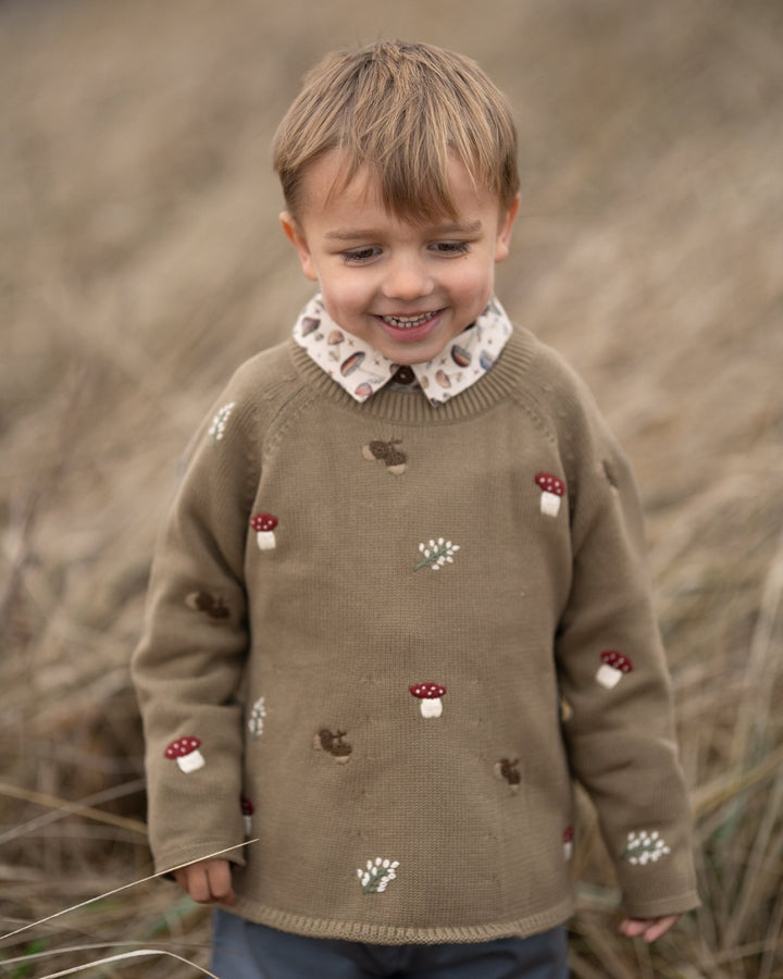 Hanevild Fall genser i økologisk bomull – Coriander for barn - Brobrobrille