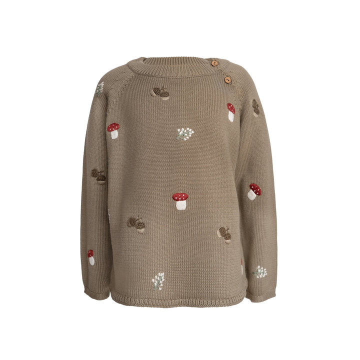 Hanevild Fall genser i økologisk bomull – Coriander for barn - Brobrobrille