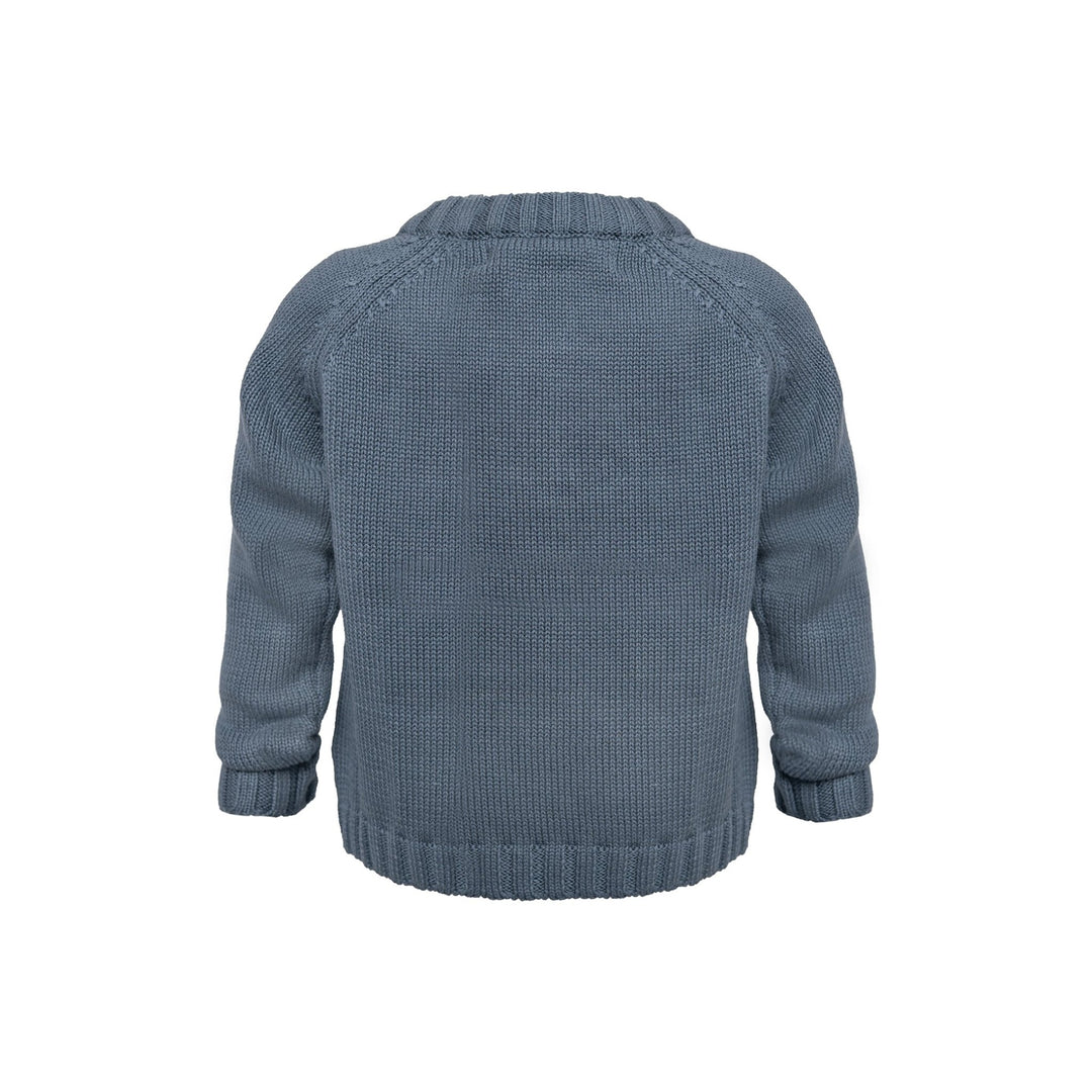 Hanevild Linus Genser - Stormy Weather for barn - Brobrobrille