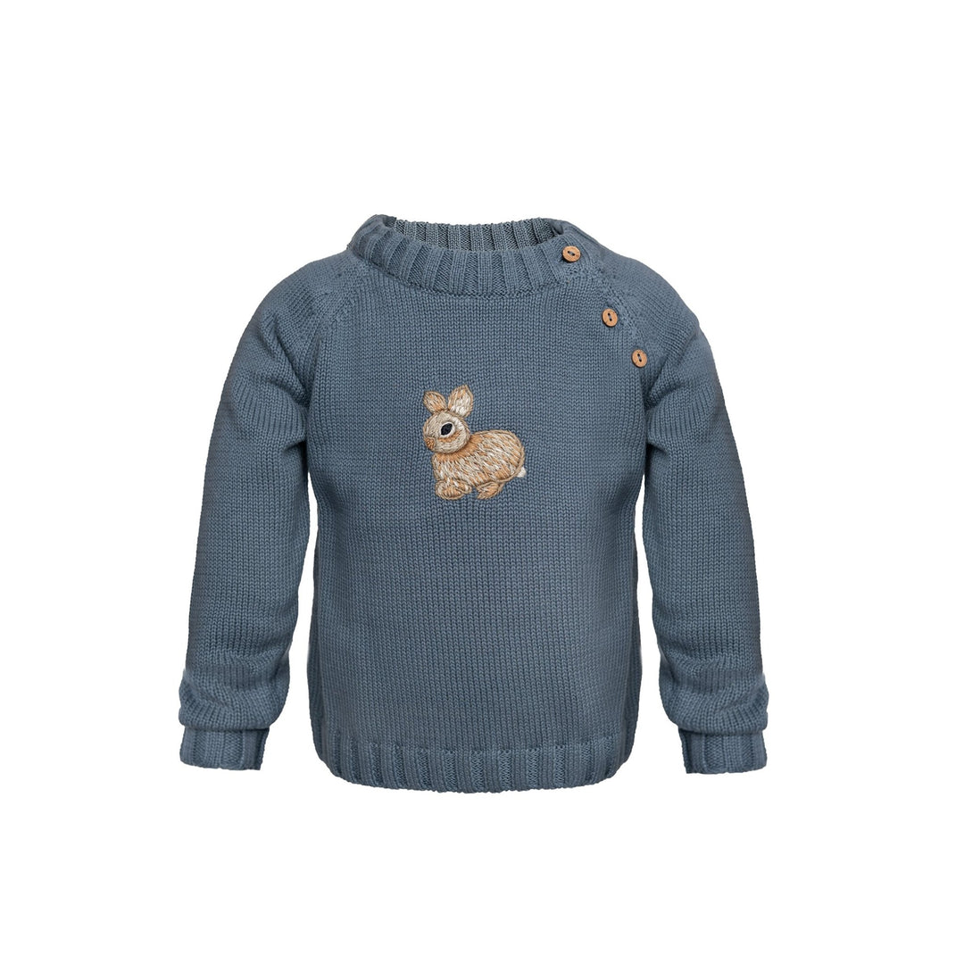 Hanevild Linus Genser - Stormy Weather for barn - Brobrobrille