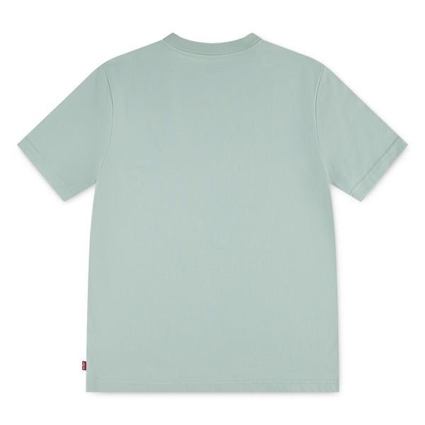 Levi’s Batwing Chest Hit t - skjorte for barn - Cameo Green for barn - Brobrobrille