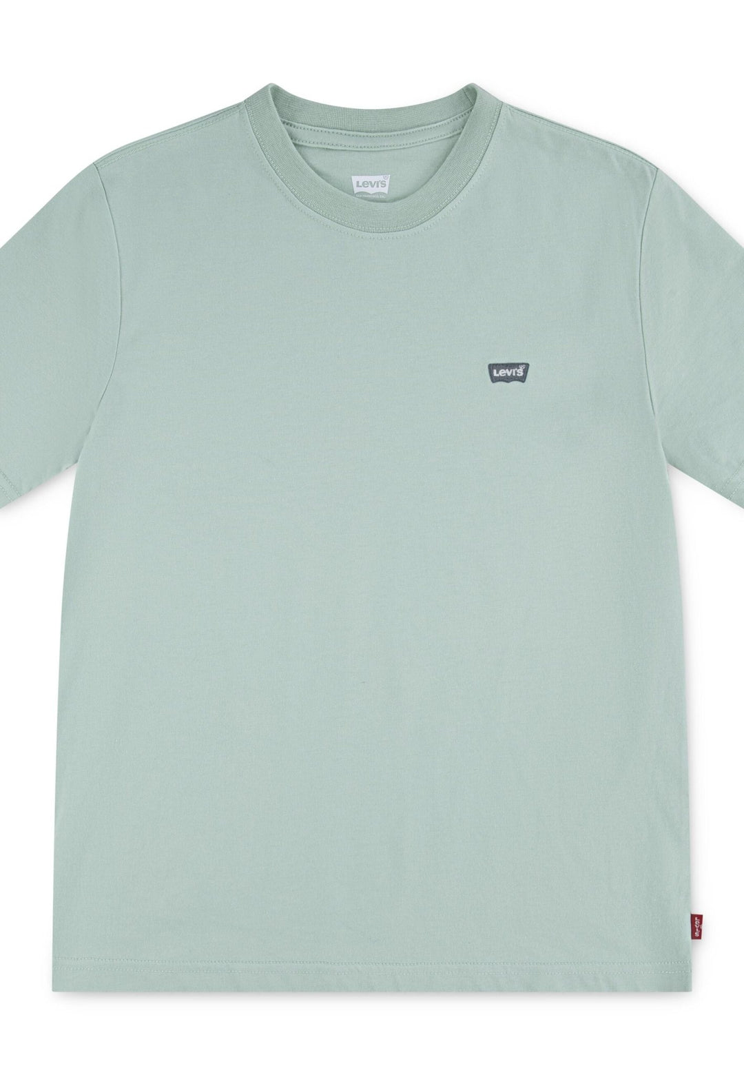 Levi’s Batwing Chest Hit t - skjorte for barn - Cameo Green for barn - Brobrobrille