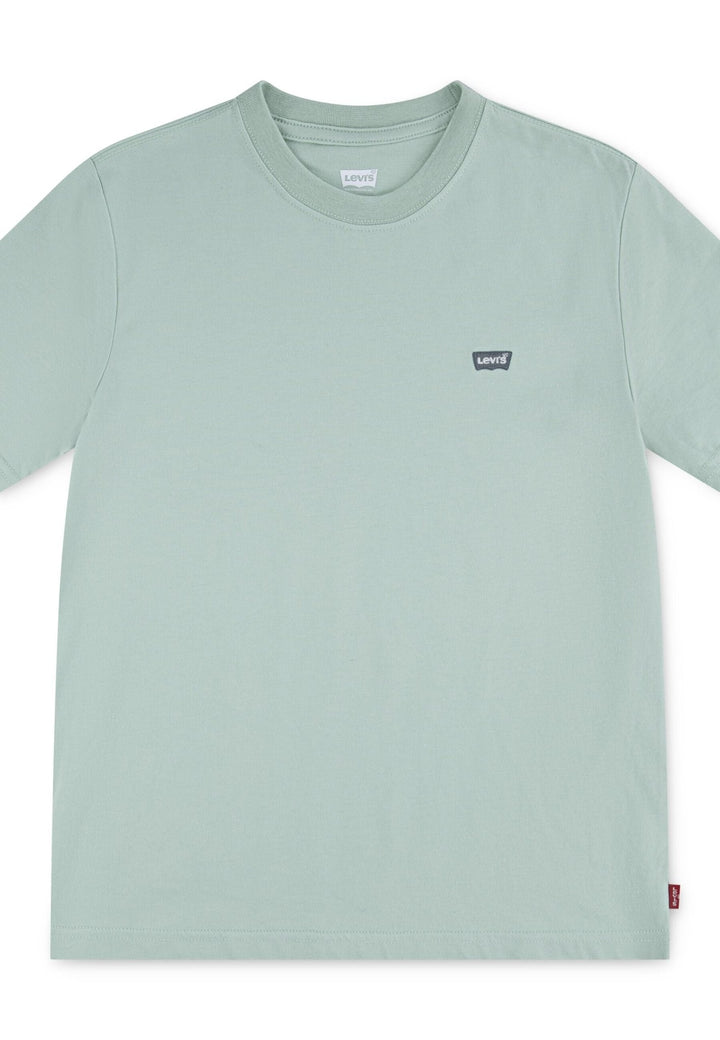 Levi’s Batwing Chest Hit t - skjorte for barn - Cameo Green for barn - Brobrobrille