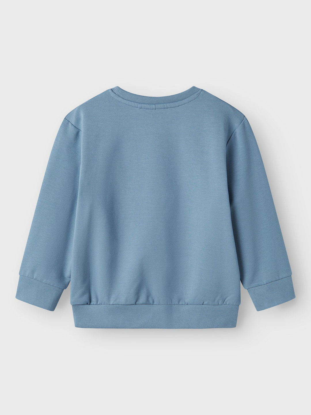 Name It Dennis genser med print – Spring Lake for barn - Brobrobrille