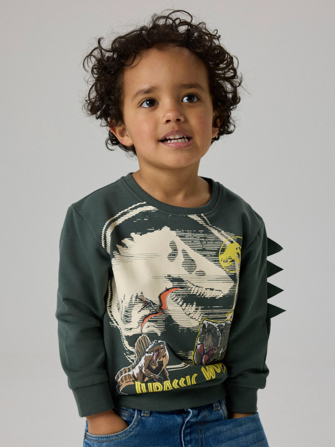 Name it Jal Jurassic World Genser - Urban Chic for barn - Brobrobrille